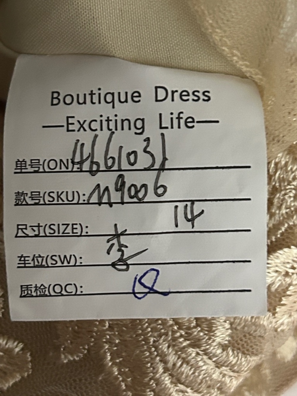 Champagne Mother-of-the-Bride Dress - Picture 5 of 5